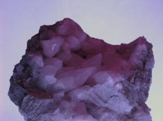 Calcite - Appennino Parmense Italy